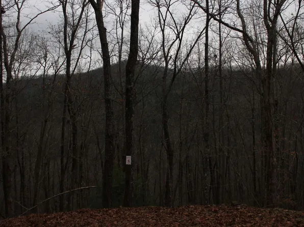 6 Thunder Rd, Hayesville, NC 28904