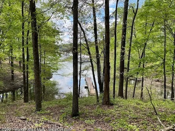 766 County Road 175, Crane Hill, AL 35053