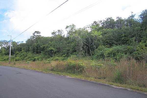 2nd image of 18-4701 Ihope Pl Lot 3