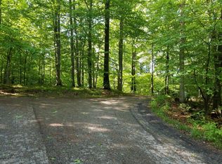 16260 Black Lake Cv, Sand Lake, MI 49343