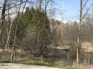 10 W Mile Rd, Irons, MI 49644