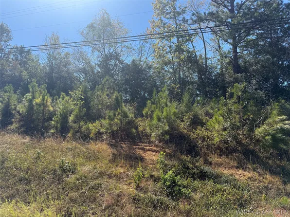 0 Highway 84, Daleville, AL 36322
