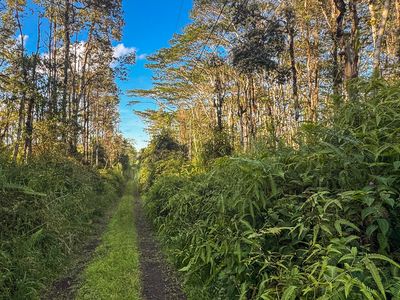 Nanawale Farms Rd LOT 31, Pahoa, HI, 96778