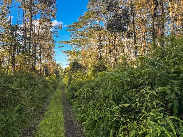 Nanawale Farms Rd Lot 31, Pahoa, HI 96778