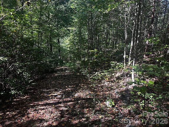 4th image of 0 Clear Creek Trl