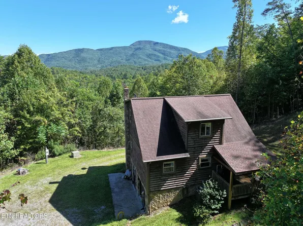 199 Pear Tree Way, Del Rio, TN 37727