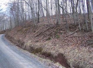 Hundley Rd, Clintonville, WV 24931