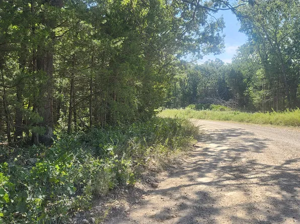 13239 County Road 290, Flemington, MO 65650