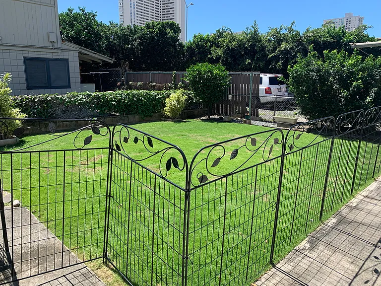 1469 Makiki St #3 — Photo 3