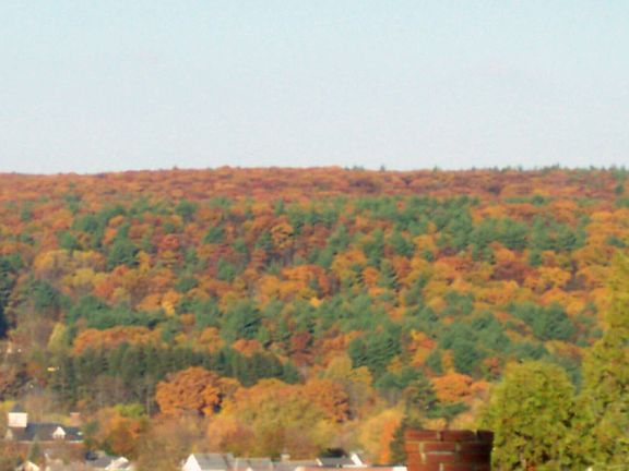 View From the Kitchen and Second Floor
