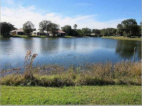 Lake view