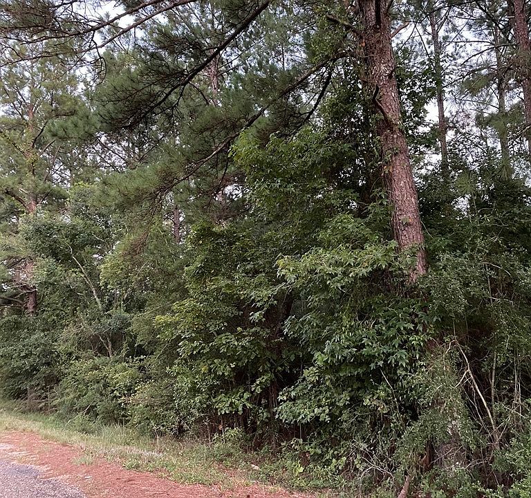 2nd image of Mount Olive Rd