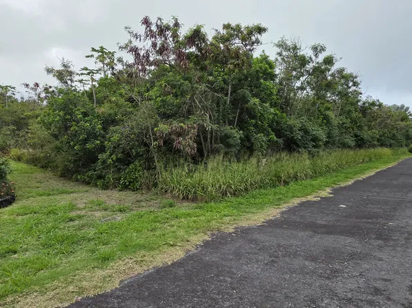 Kia Kahi St Lot 203, Naalehu, HI 96772