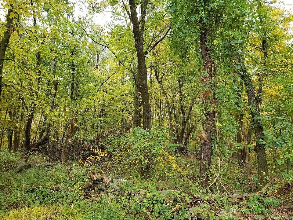 2nd image of 360 Brewster Hill Rd