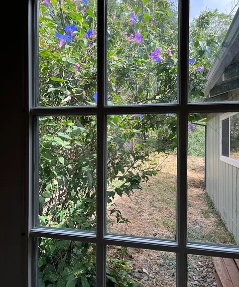 545 Reed Ct — Photo 7