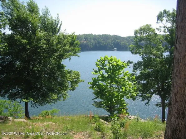 County Road 3934, Arley, AL 35541