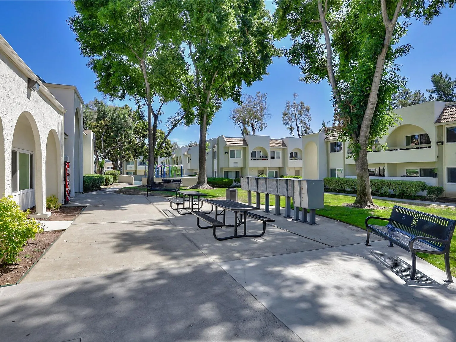 San Jose Greens — Photo 3
