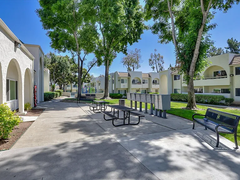 San Jose Greens — Photo 3
