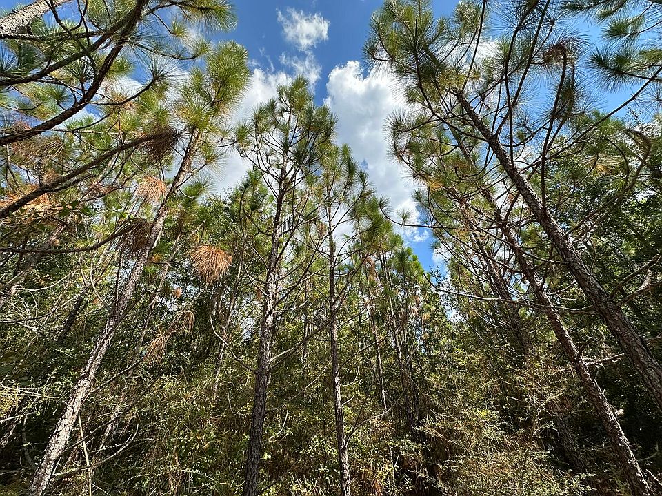 1st image of PARCEL New Ebenezer Rd #C