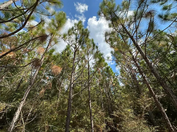 PARCEL New Ebenezer Rd #C, Laurel Hill, FL 32567