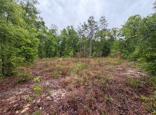 301 Rainbow Dr Lot 1, Hawthorne, FL 32640