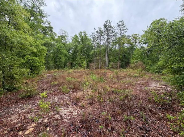 301 Rainbow Dr Lot 1, Hawthorne, FL 32640