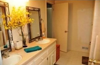 5th image of 817 Cherrystone Dr