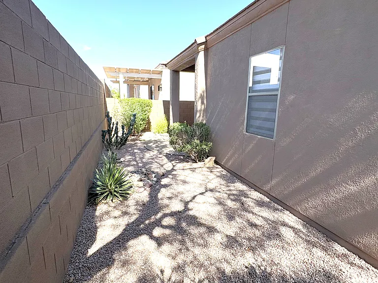 Rear yard
