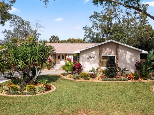 8010 Bullara Dr, Temple Terrace, FL 33637