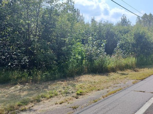 Lake St, Orr, MN 55771