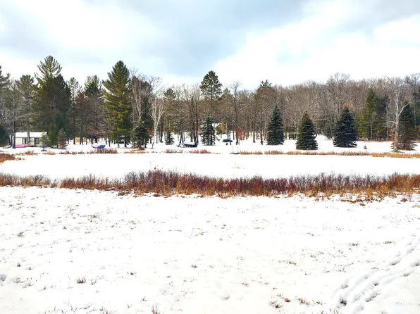 Nhn Loafers Ln, Hillman, MI 49746