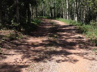 223 Worley Rd, Divide, CO 80814