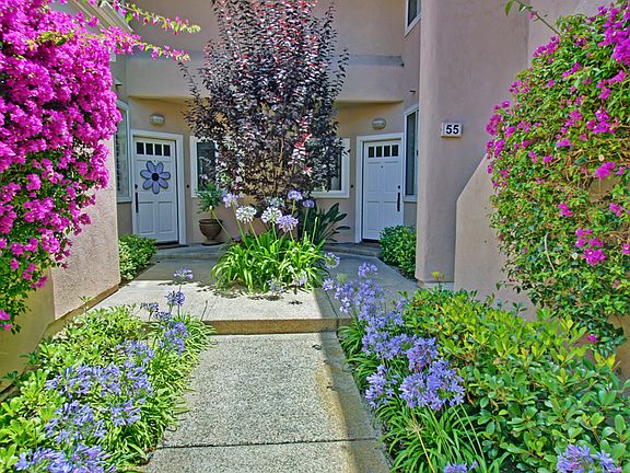 Lush Landscaping up to Entry