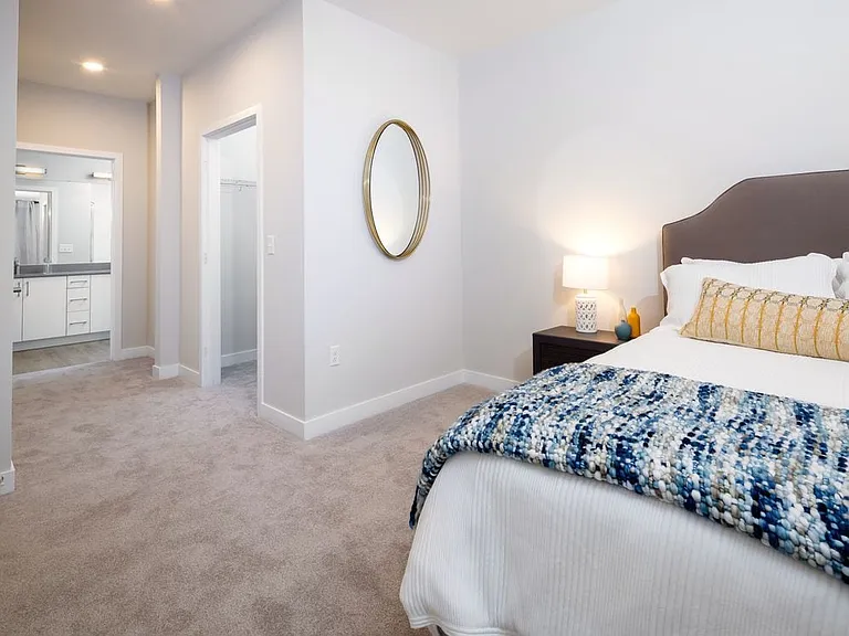 Bedroom with walk-in closet