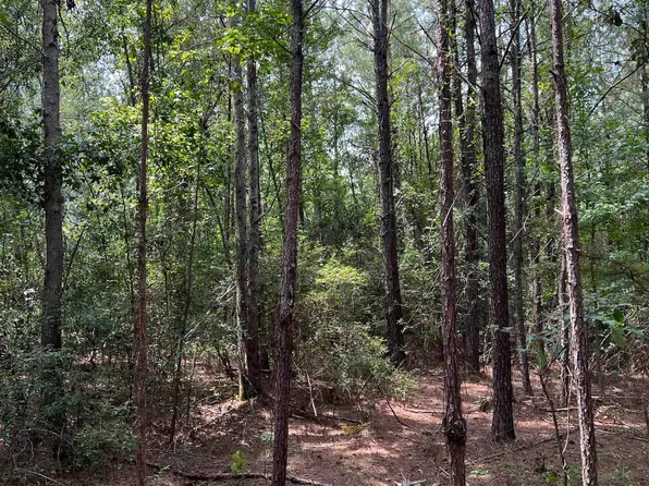 22200 Gap Weekley Rd #2, Perdido, AL 36562