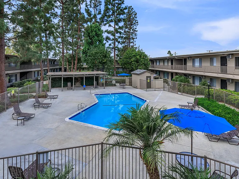Saddleback Pines Apartment Homes — Photo 7