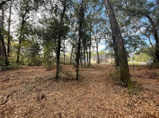 Market St, Darien, GA 31305