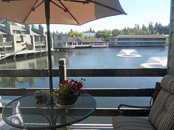 Living room deck View