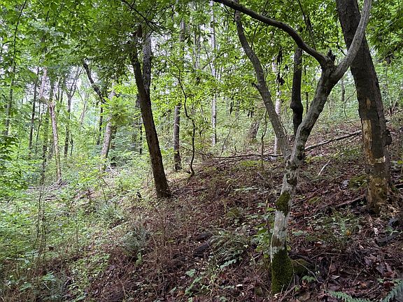 5th image of 0 Ivy Hollow Rd Lot 5