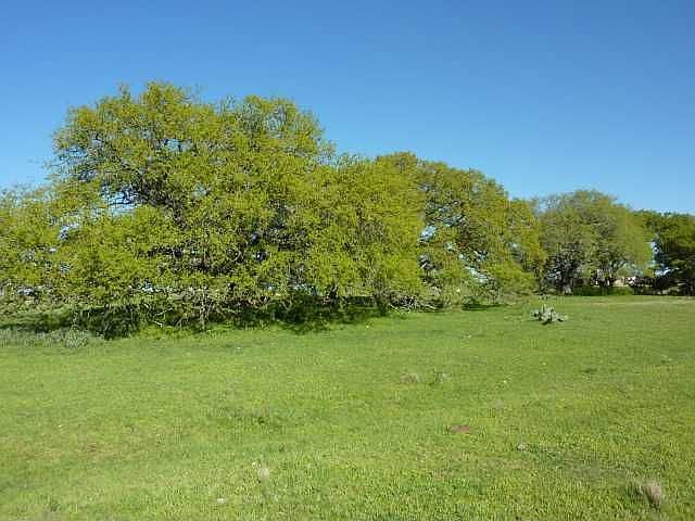 May 17 2011