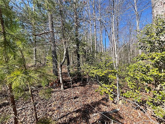 5th image of LOT 20 Falcons Lair West Dr