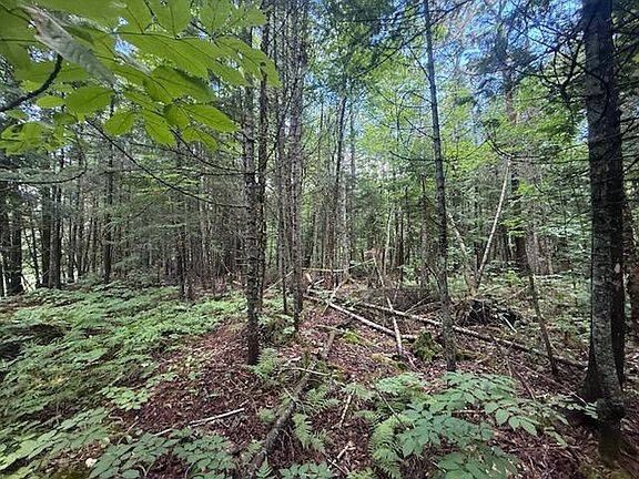 4th image of 198 Green Ridge Road