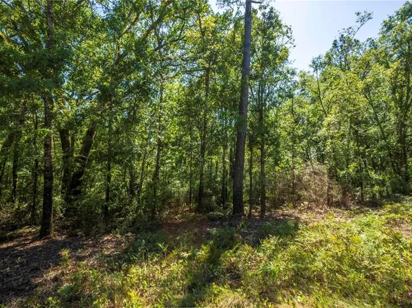 375 NE West Peppermint Trl #164, Pinetta, FL 32350