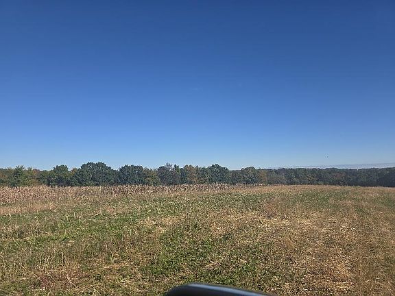 2nd image of Mimosa Rd