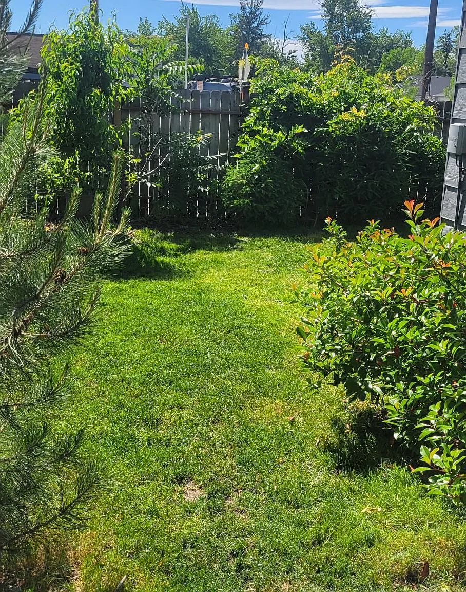 2 bed, 1092 sqft, $1,990 — Photo 2