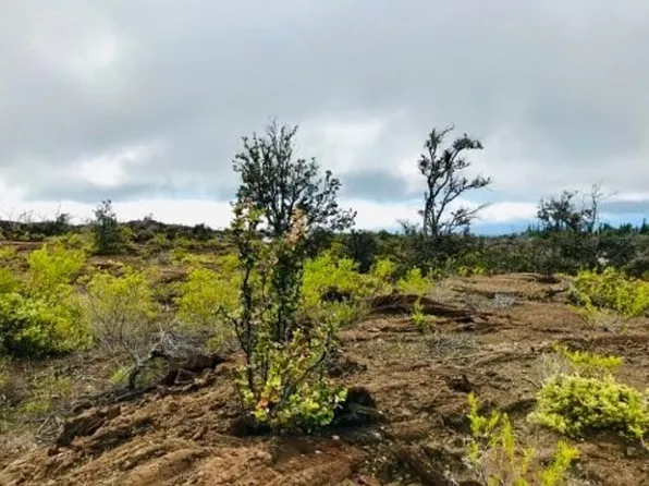 Lot 29, Ocean View, HI 96737