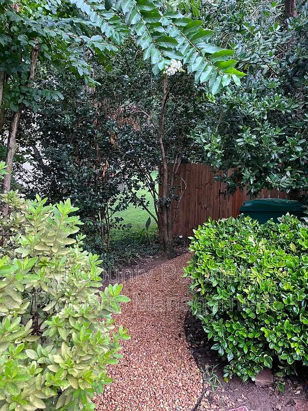 2 bed, 1.0 bath, 1198 sqft, $1,725 — Photo 3