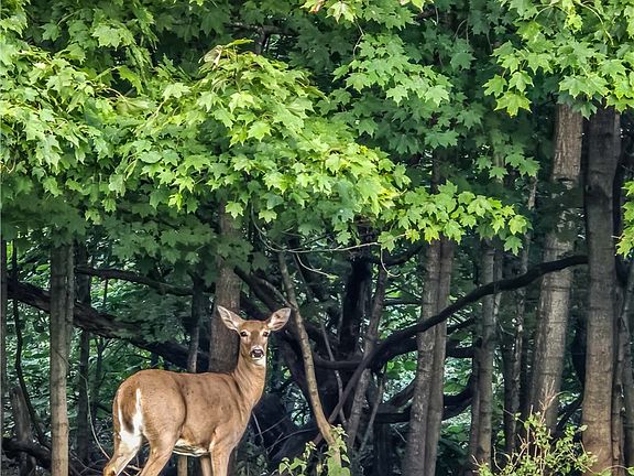 4th image of N/a Old State Rd