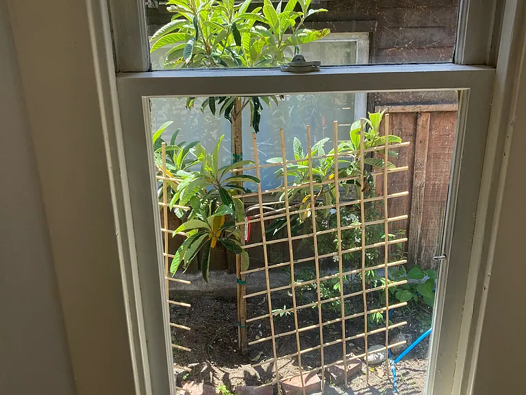 view out one of many lovely windows in the dining room