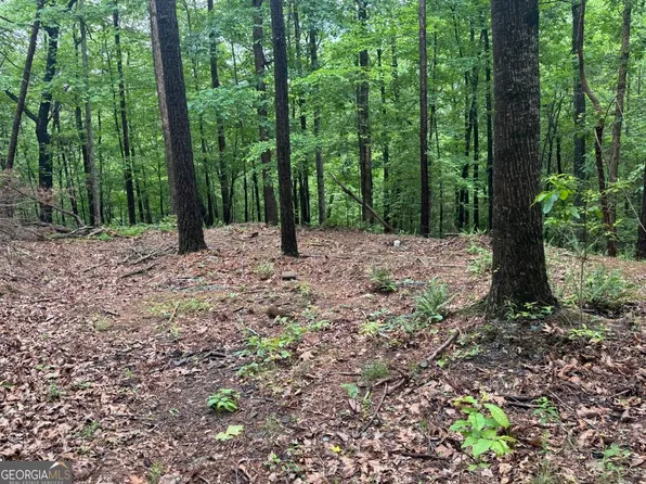 543 Parable Ct, Ranger, GA 30734